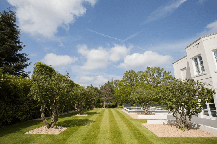 Luxury Lawn Care: Complete Guide to Premium Lawn Maintenance and Design