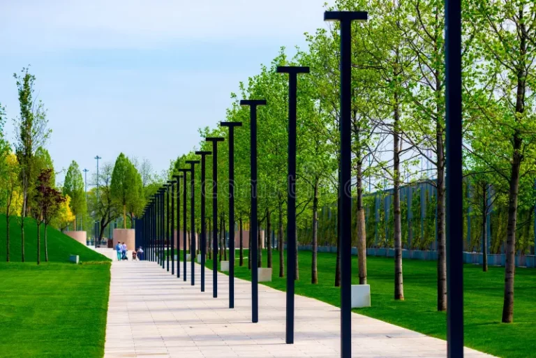 Landscaping Lights Installation Near Me: Expert Guide, Benefits, and Real-World Examples